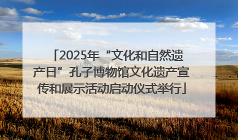 2025年“文化和自然遗产日”孔子博物馆文化遗产宣传和展示活动启动仪式举行