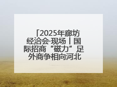 2025年廊坊经洽会·现场丨国际招商“磁力”足 外商争相向河北推介项目
