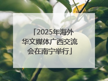 2025年海外华文媒体广西交流会在南宁举行