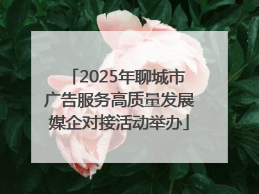 2025年聊城市广告服务高质量发展媒企对接活动举办