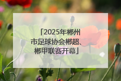2025年郴州市足球协会郴超、郴甲联赛开幕