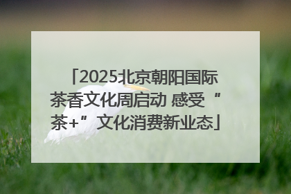 2025北京朝阳国际茶香文化周启动 感受“茶+”文化消费新业态