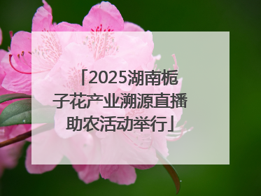 2025湖南栀子花产业溯源直播助农活动举行