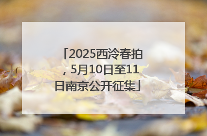 2025西泠春拍，5月10日至11日南京公开征集