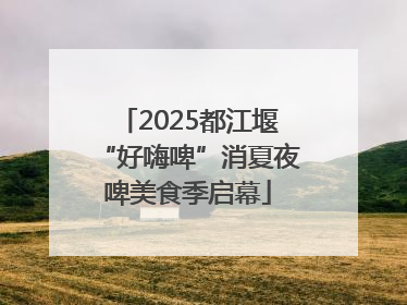 2025都江堰“好嗨啤”消夏夜啤美食季启幕