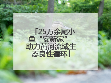 25万余尾小鱼“安新家” 助力黄河流域生态良性循环