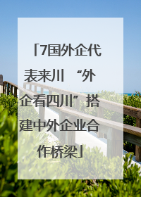 7国外企代表来川 “外企看四川”搭建中外企业合作桥梁