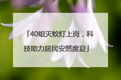 40组灭蚊灯上岗，科技助力居民安然度夏