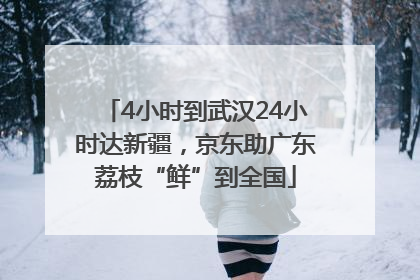 4小时到武汉24小时达新疆，京东助广东荔枝“鲜”到全国