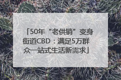50年“老供销”变身街道CBD：满足5万群众一站式生活新需求