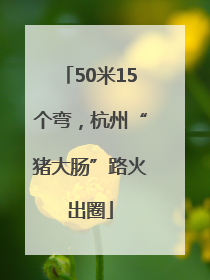 50米15个弯，杭州“猪大肠”路火出圈