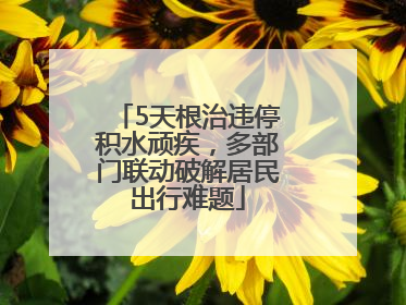 5天根治违停积水顽疾，多部门联动破解居民出行难题