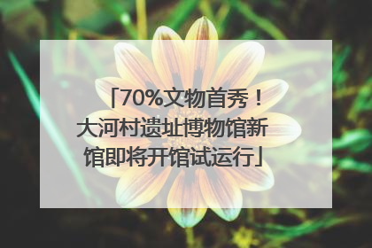 70%文物首秀！大河村遗址博物馆新馆即将开馆试运行