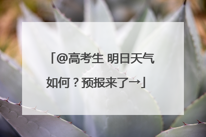 @高考生 明日天气如何？预报来了→