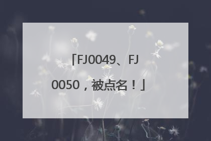 FJ0049、FJ0050，被点名！